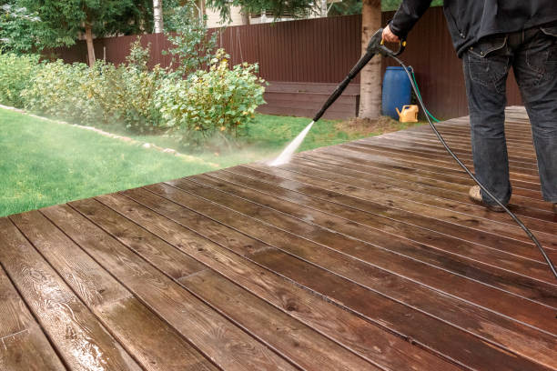 Best Soft Washing  in North River Shores, FL